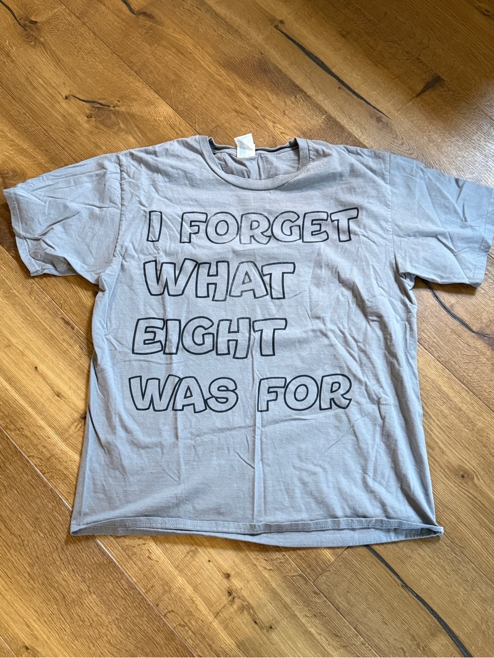 Port Authority Light Gray Graphic Short Sleeve Tee- Violent Femmes Lyric
